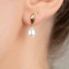 Oorbellen geel goud met zoetwater parel