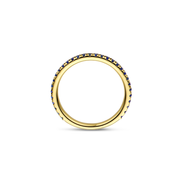 Ring · Vander Avort COLOURFUL · met saffier