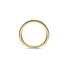 Ring · Vander Avort COLOURFUL · met saffier