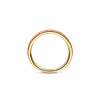 Ring alliance geel goud met 0.42ct robijn