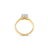 Ring · Vander Avort INFINITE · met diamant