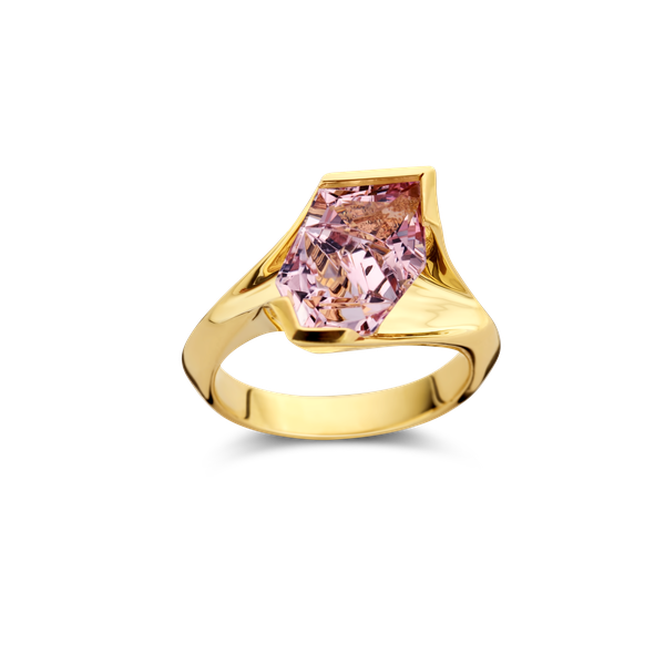 Ring · Vander Avort · met morganite