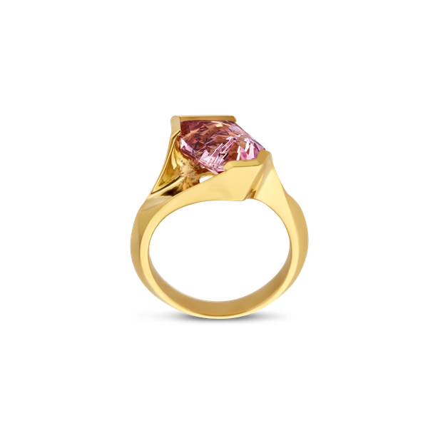 Ring · Vander Avort · met morganite