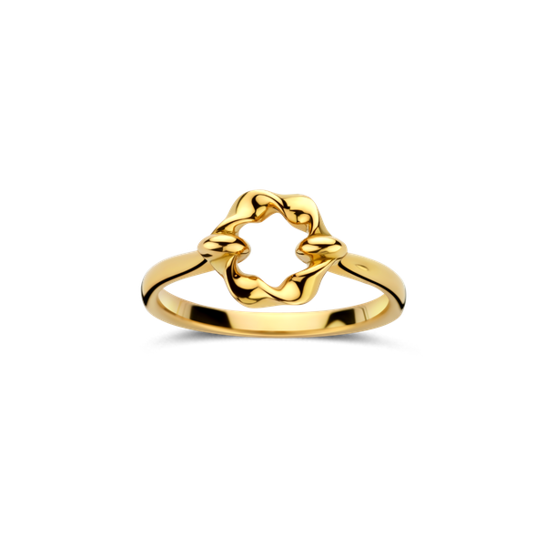Ring · Vander Avort FLOW · met lichte tors