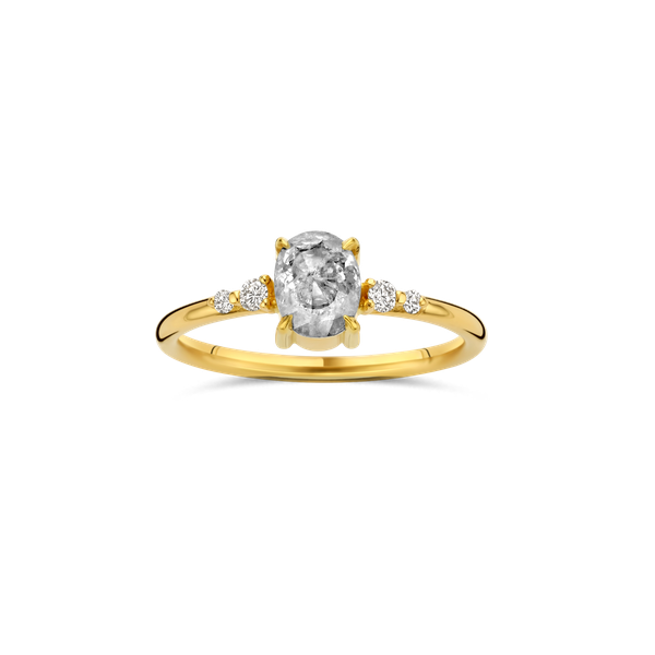 Ring · Vander Avort MEMOIR · met as en diamant