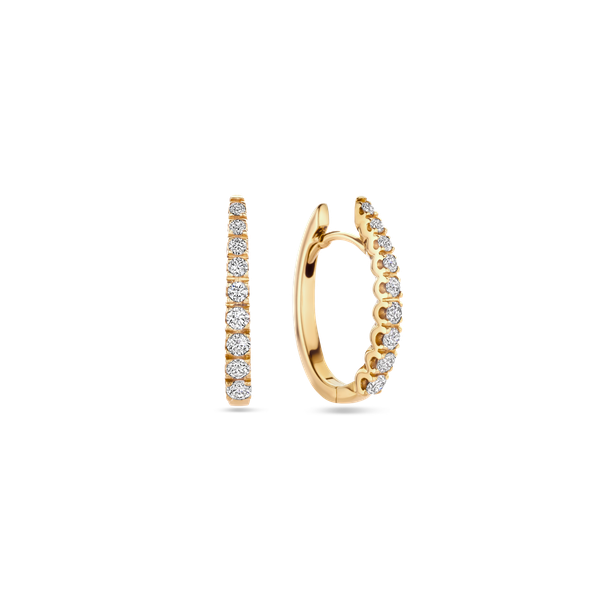 Oorbellen · Vander Avort ICON · met diamant