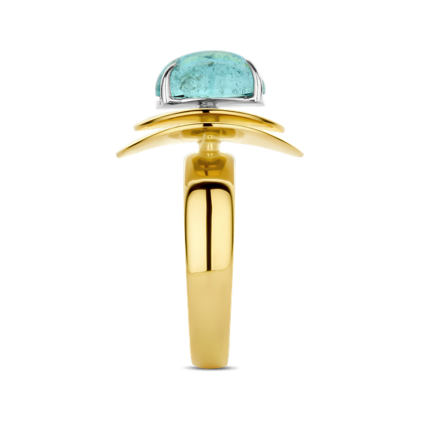 Ring · Vander Avort UNIQUE · met Paraïba toermalijn