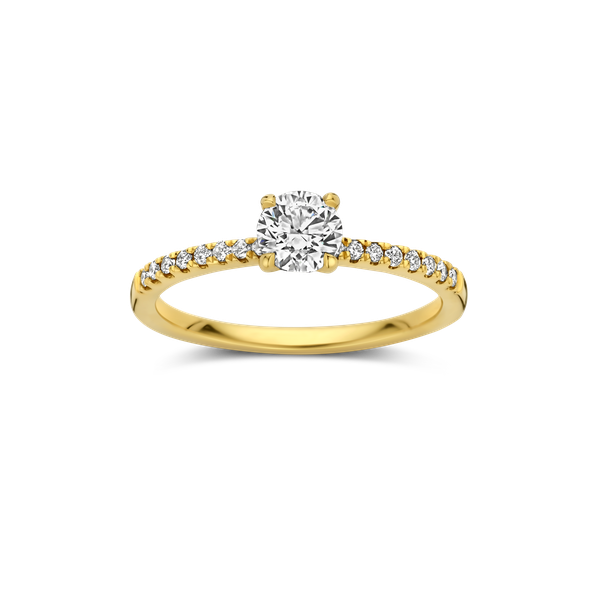 Ring Royal · Vander Avort INFINITE · met diamant